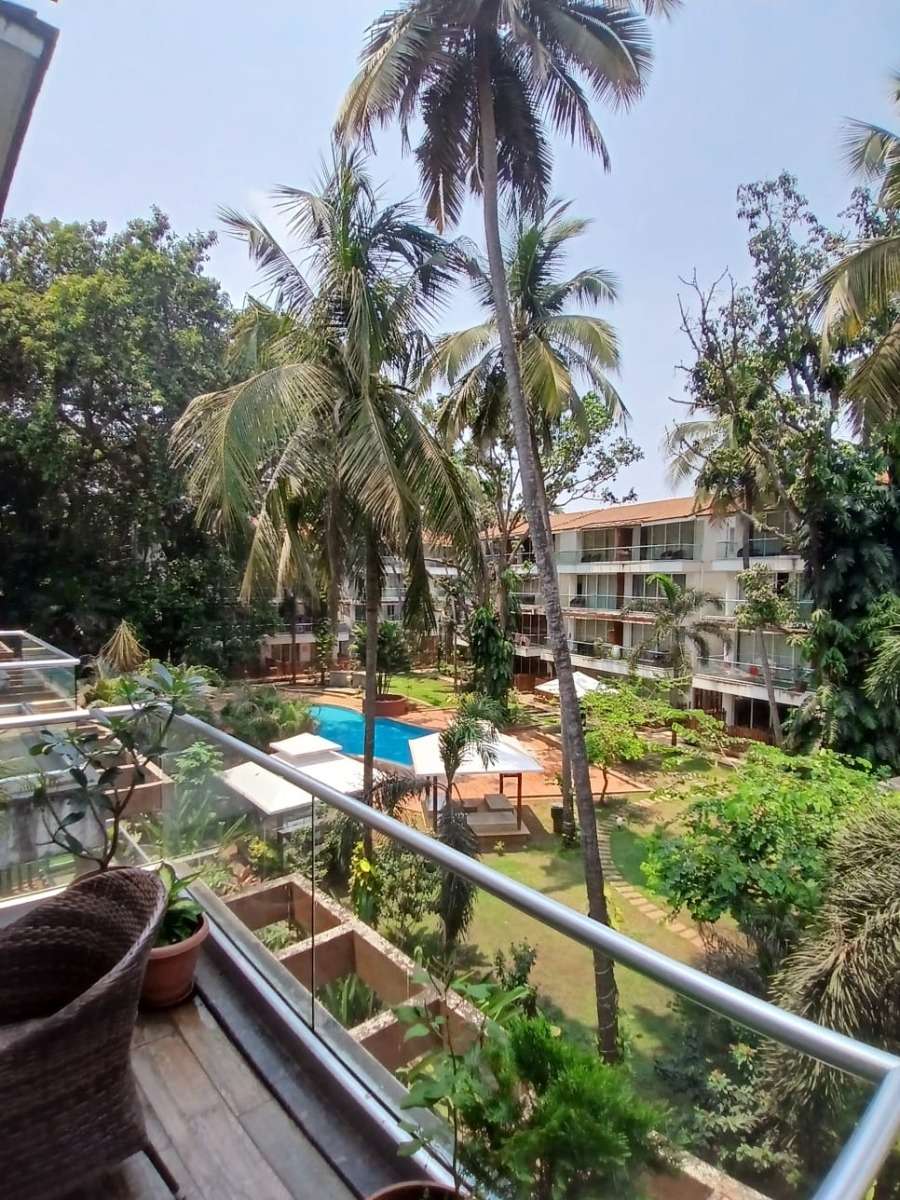 Photo of Eternal Wave