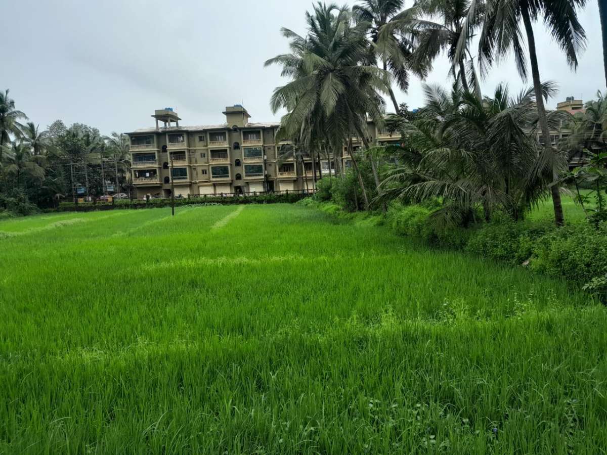 Photo of 2bhk Apartment