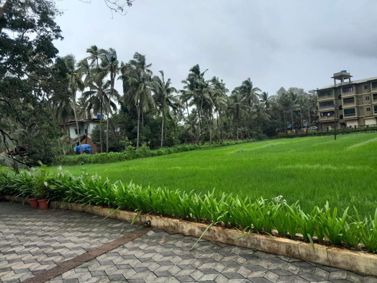 Photo of 2bhk Apartment